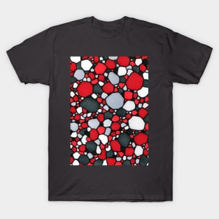 Red and Gray T-Shirt